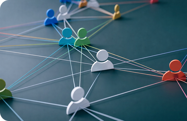 네트워킹 및 협력체계 구축